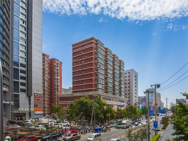 长宁区医院绿植租赁联系方式